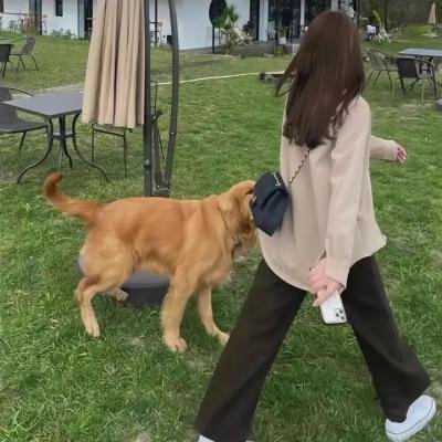 恋爱前辈说